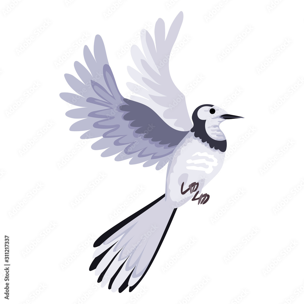 Obraz premium Truthuigus, songbird. Bird in flight, wings wide open. Vector isolated character
