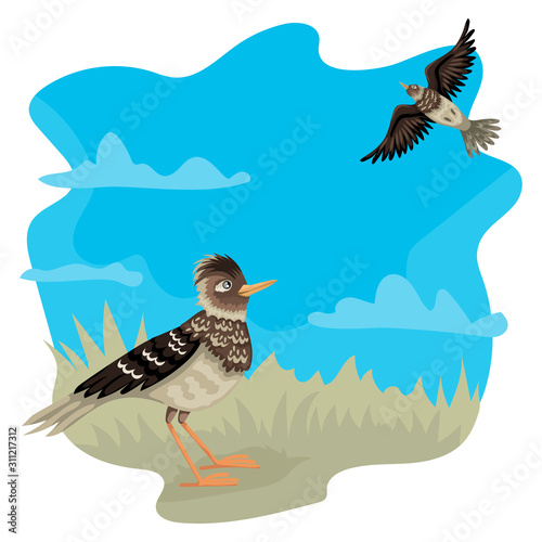 Lark from the ground looks up at a flying bird. Vector characters