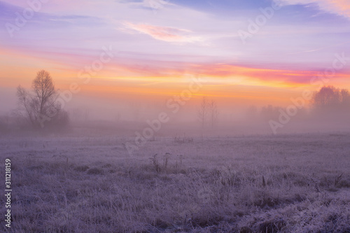beautiful winter landscape with fog and frost