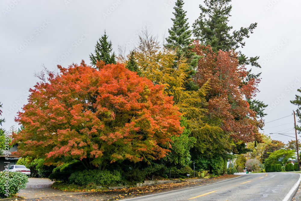 Home And Fall Colors 4