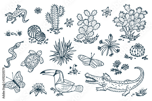 Mexico Vector set. Mexican flora and fauna. Nature of Mexico - Plants and animals. Hand drawn doodle Cactus, butterflies, reptiles, crocodile, toucan bird
