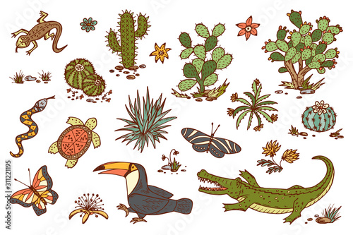 Mexico Vector set. Mexican flora and fauna. Nature of Mexico - Plants and animals. Hand drawn doodle Cactus  butterflies  reptiles  crocodile  toucan bird
