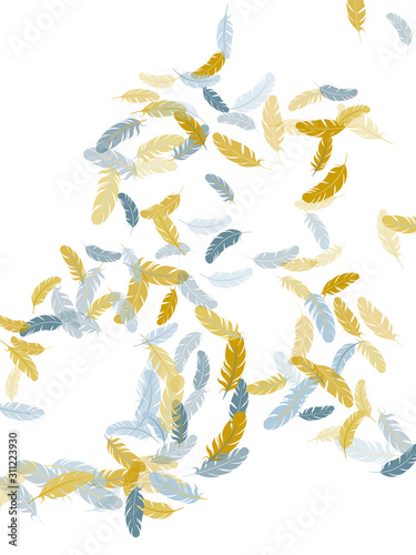 Flying feather elements airy vector design.