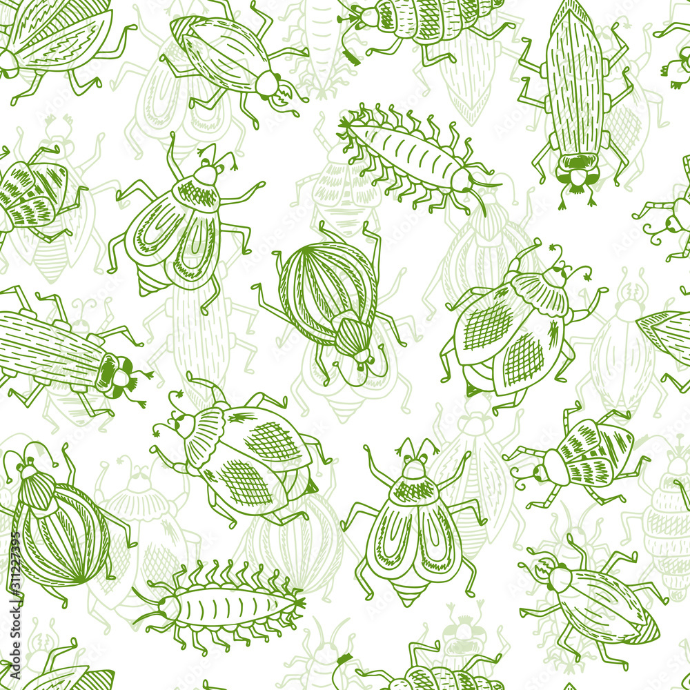 Vector Seamless pattern of doodle Cartoon Bugs Vector Seamless pattern of doodle Cartoon Bugs