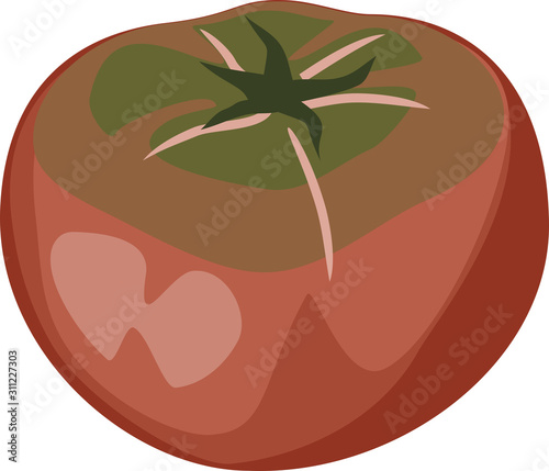 Fresh black-red tomato isolated on white background