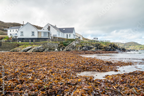 Seaweed lying on Portnoo beach in County Donegal, Ireland photo