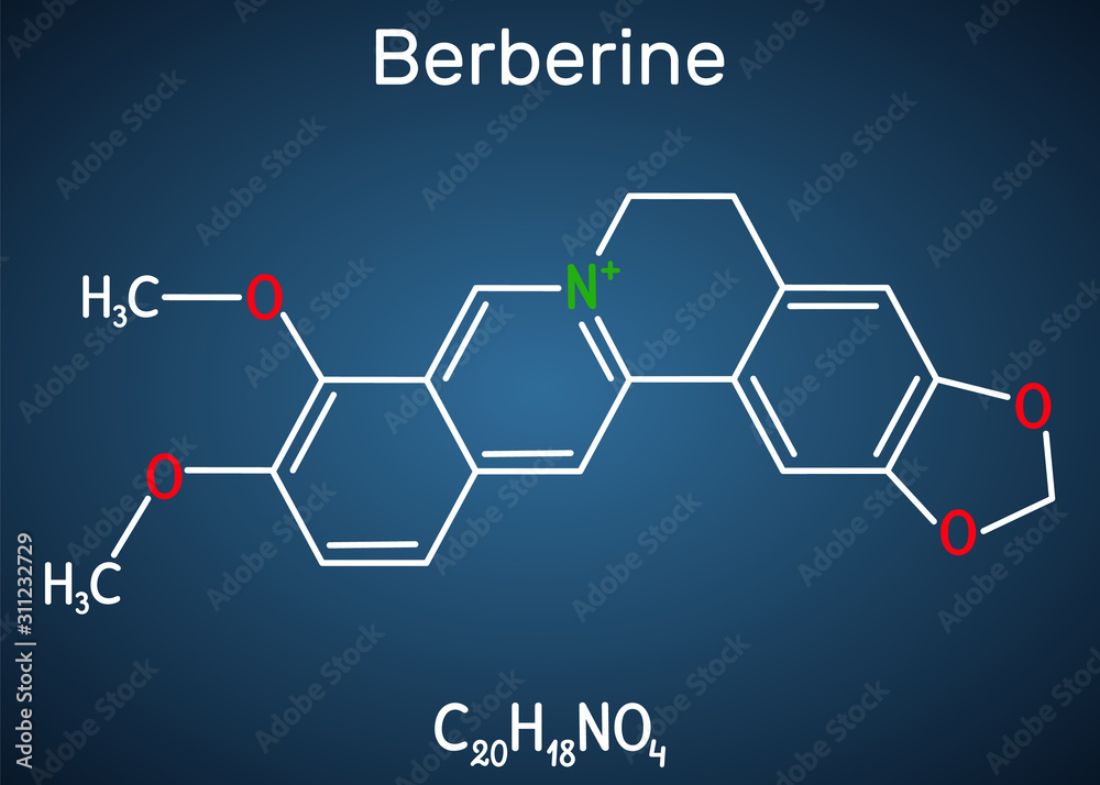 Berberine C20H18NO4, herbal alkaloid molecule. Structural chemical formula on the dark blue background Berberine C20H18NO4, herbal alkaloid molecule. Structural chemical formula on the dark blue background