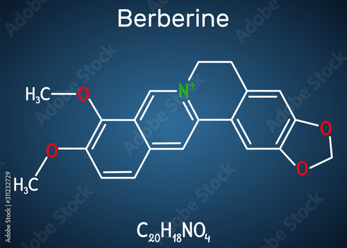 Berberine C20H18NO4, herbal alkaloid molecule. Structural chemical formula on the dark blue background