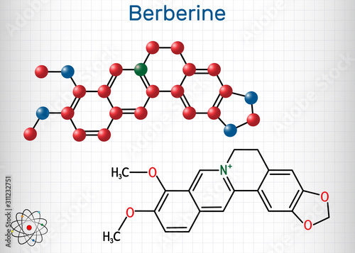 Berberine C20H18NO4, herbal alkaloid molecule. Structural chemical formula and molecule model. Sheet of paper in a cage