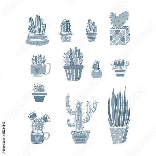 Vector different Cactus and exotic plants collection design art © darijashka
