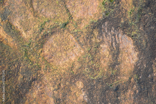 texture of stone photo