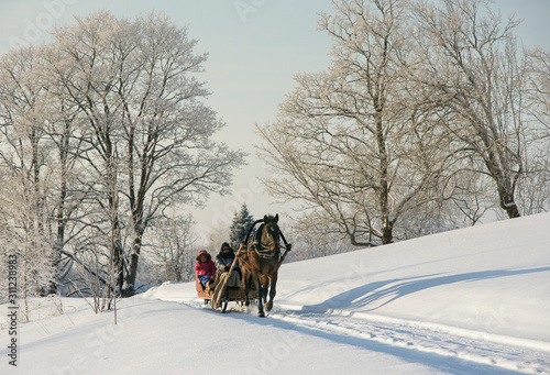 brown horse pulling sleigh, winter wounderland landscape