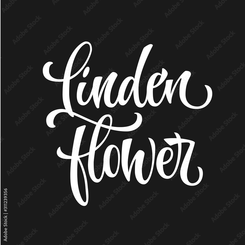 White colored hand drawn spice label - Linden flower. Isolated calligraphy scrypt stile word. Vector lettering design element.