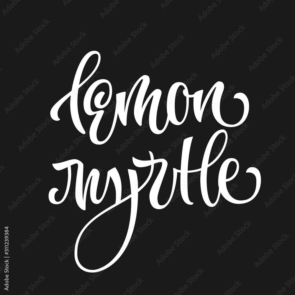 Vector hand drawn calligraphy style lettering word - Lemon myrtle. White colored isolated design. Isolated script spice text label.