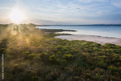 Landscape of the lagoon of La Mata (Torrevieja, Spain) photo