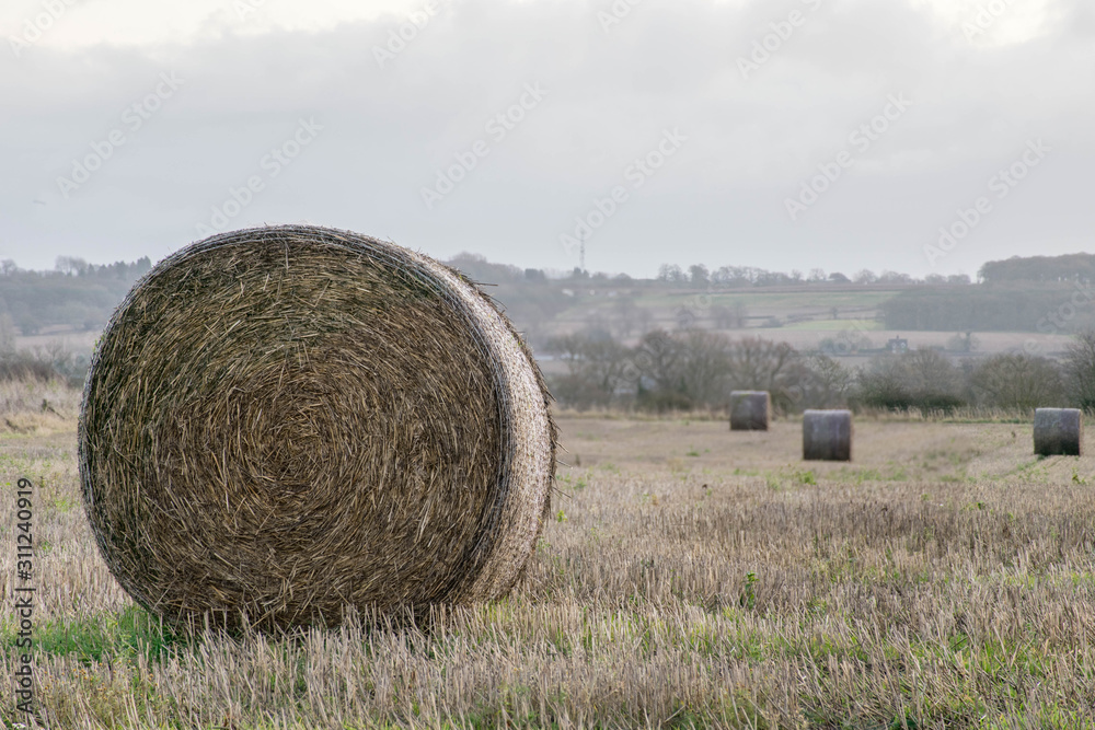 Single haymow during autumn morning
