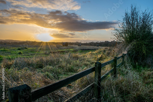 Field during autumn morning sunrise