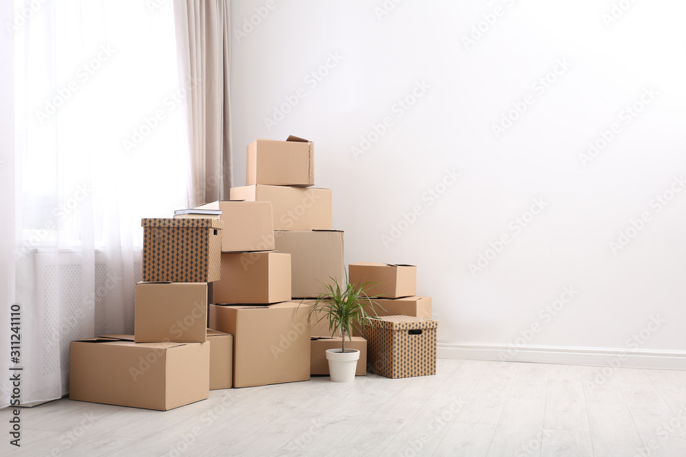 Moving boxes and potted plant in empty room, space for text Moving boxes and potted plant in empty room, space for text