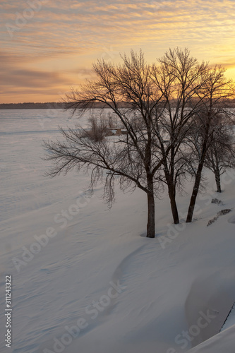 Cold Winter Sunset With Trees