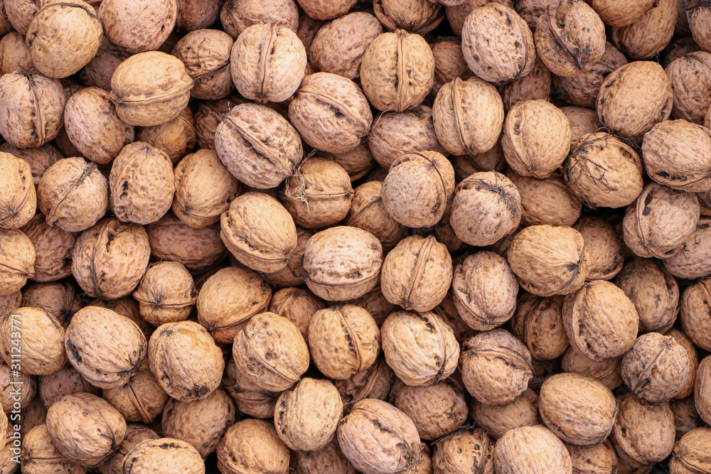 A lot of ripe walnuts. View from above. A lot of ripe walnuts. View from above.