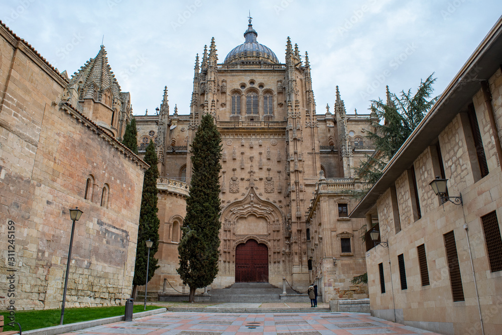 Ornate exterior of Salamanca Cathedral in Spain