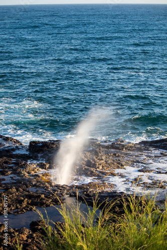 Geyser, ocean, spout 