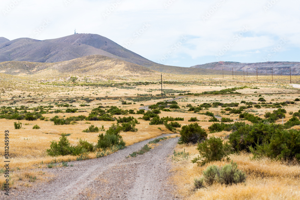 Dirt road running through the middle of the desert and sagebrush