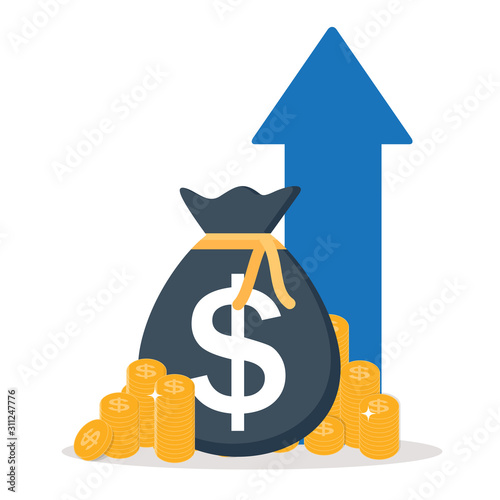Income increase, financial strategy, Gold Coins  Icon Sign Business Finance M...