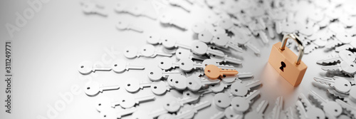 Photography One padlock with infinite keys, metaphor of problems, solutions  and risk manage