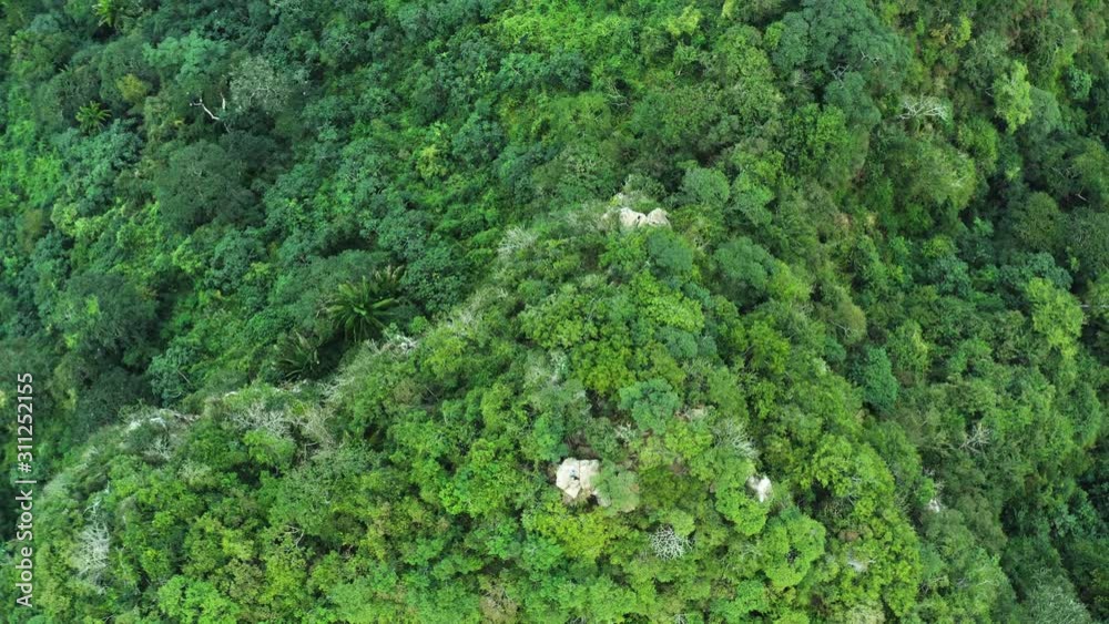 Monkey Mountain Hiking Trail surrounded by mountain birds flying in circles. Aerial view of Jungle hike trail Cerro del Mono, state Nayarit in Mexico. Monkey Mountain Hiking Trail surrounded by mountain birds flying in circles. Aerial view of Jungle hike trail Cerro del Mono, state Nayarit in Mexico.