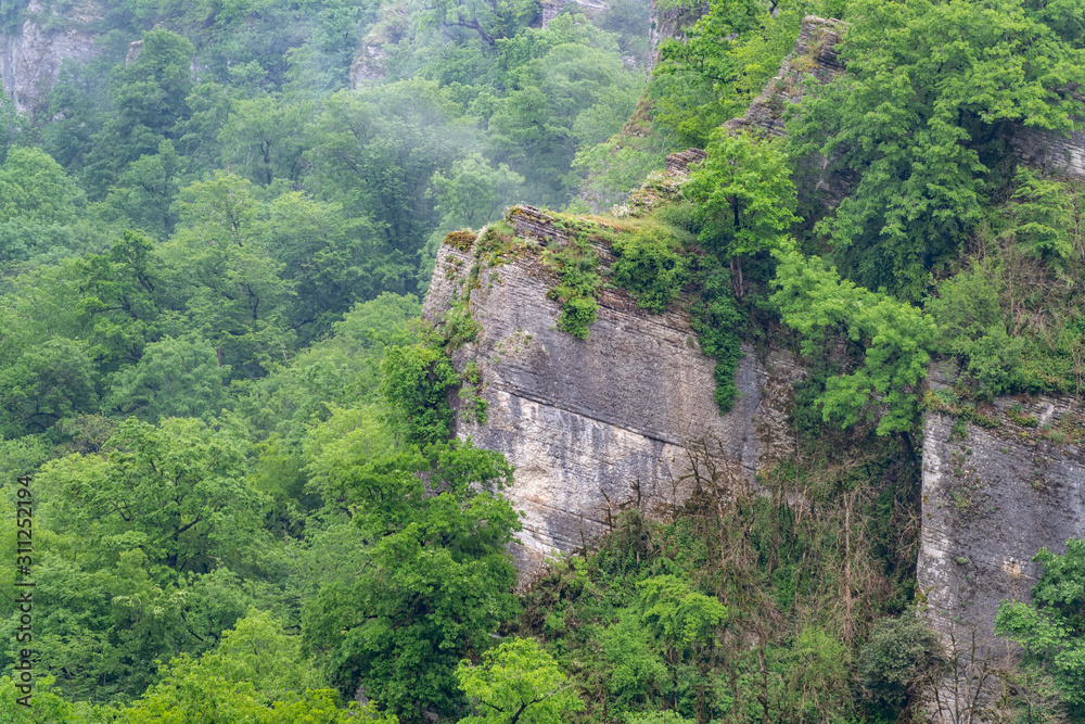 Fog in the dense green forest on the rocky cliff