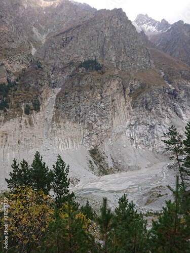 A sheer cliff in the mountains hangs over the river, a cliff. Above the cliff is a pine grove.