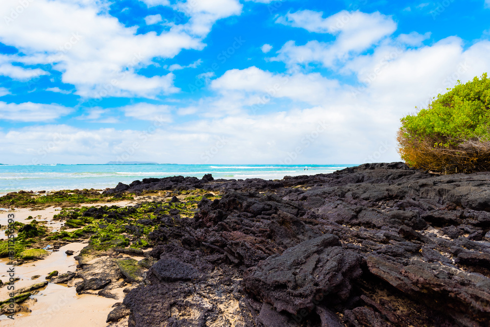 View of the rocky beach, Galapagos Island, Isla Isabela. View of the rocky beach, Galapagos Island, Isla Isabela.