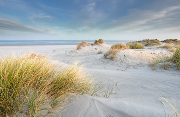 Keuken achterwand Duingras Zandduinen aan Noordzeestrand  © Olha Rohulya
