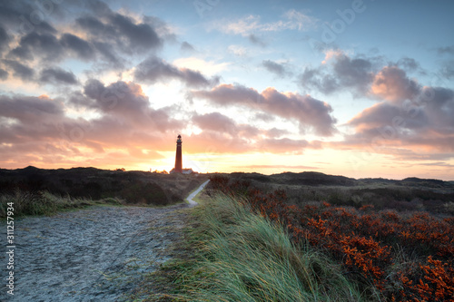 dramatic beautiful sunrise over lighthouse and sea buckthorns