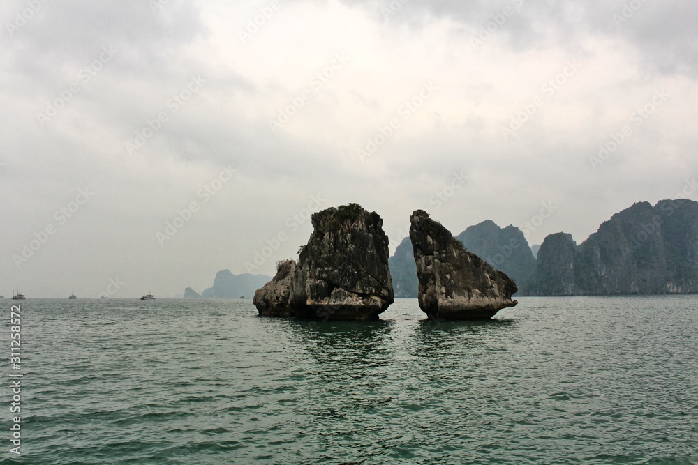 Fighting chickens - famous rocks in Vietnam Fighting chickens - famous rocks in Vietnam