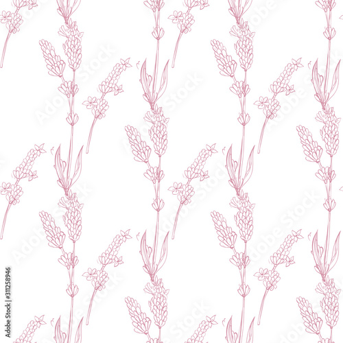 lavender natural hand drawn pattern native pashion herbal botanical decoration background