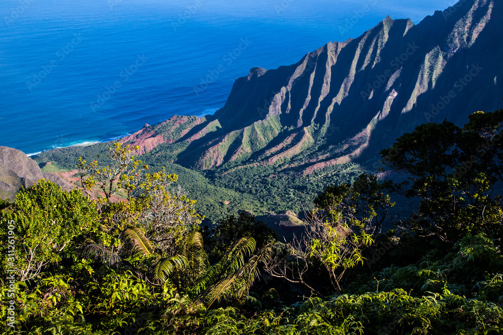 Nā Pali Coast in Hawaii with blue sea and green vegetation