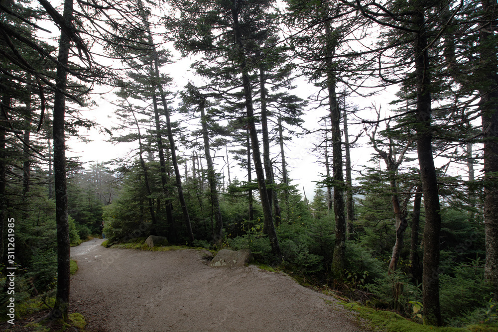 Fototapeta premium Cannon Mountain