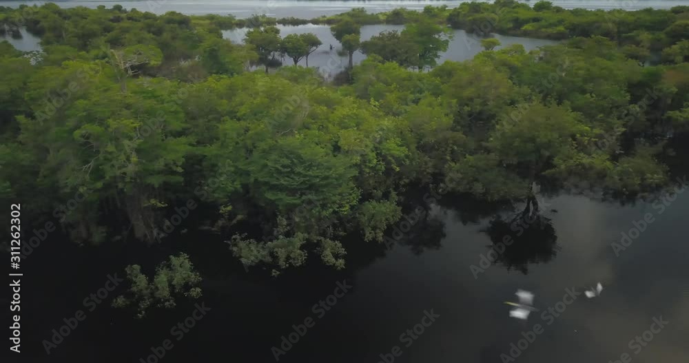 The Rio Negro forms the largest river archipelogues in the world in Anavilhanas National Park, in the middle of the Amazon rainforest. Amazonas, Brazil The Rio Negro forms the largest river archipelogues in the world in Anavilhanas National Park, in the middle of the Amazon rainforest. Amazonas, Brazil