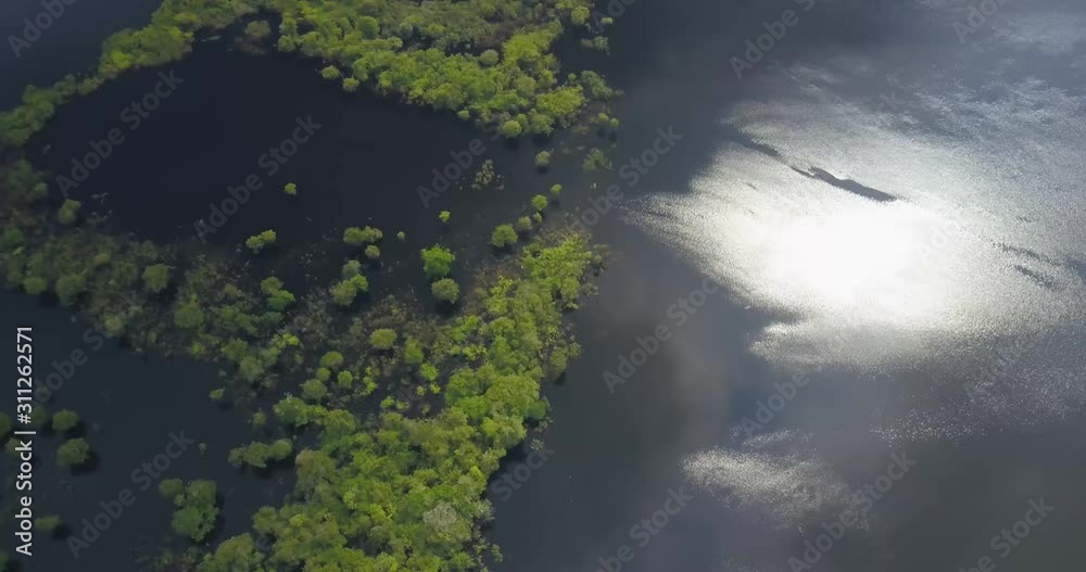 The Rio Negro forms the largest river archipelogues in the world in Anavilhanas National Park, in the middle of the Amazon rainforest. Amazonas, Brazil