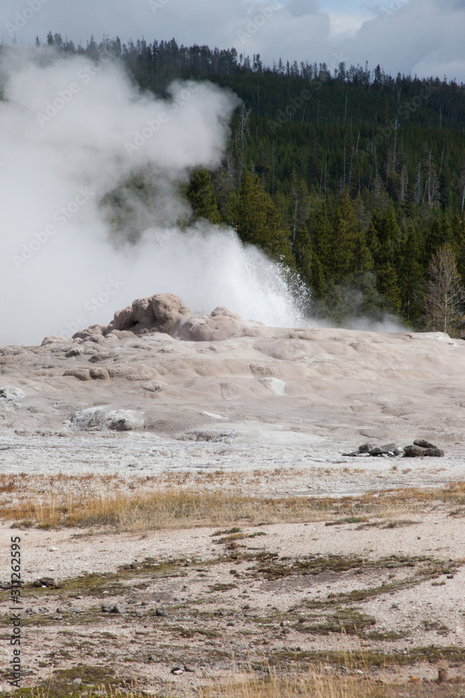 Geyser letting off steam Geyser letting off steam