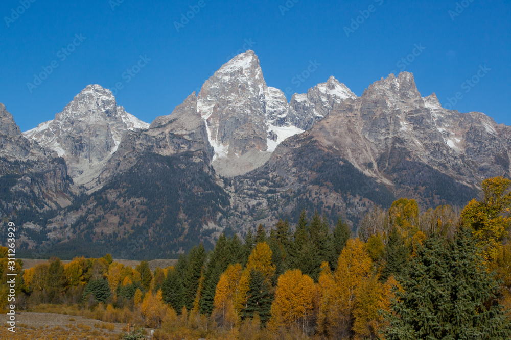 Snow Capped Mountains and fall leaves