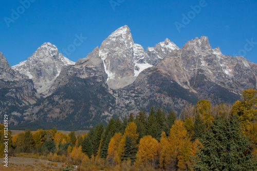 Snow Capped Mountains and fall leaves