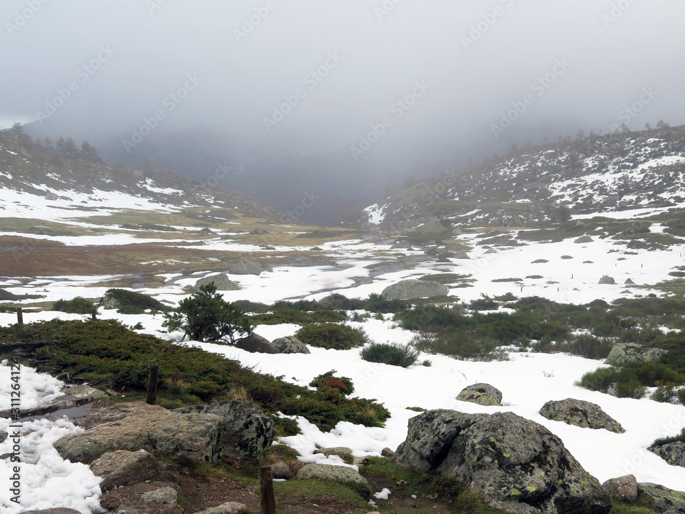 high mountain snowy meadow with fog high mountain snowy meadow with fog