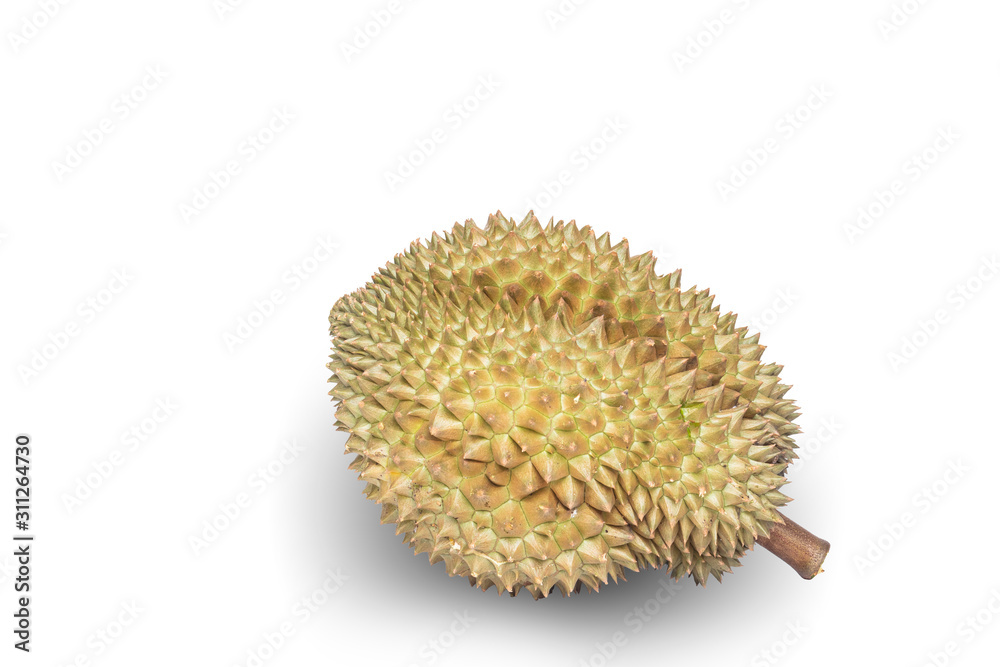 Durian is a fruit that is the king of fruits with a white background. Durian is a fruit that is the king of fruits with a white background.