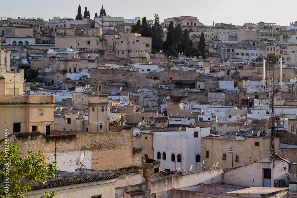 The rooftops of the historic medina of Fes, Morocco