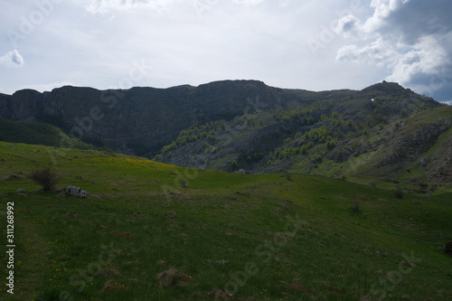 Mountain green meadow on a sunny day with blue sky