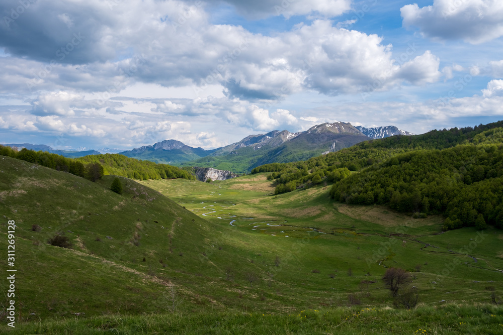 Mountain winding creek. Summer on the mountain, green meadows with creek.