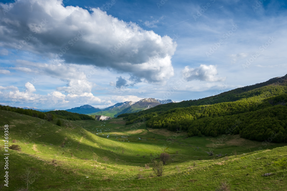 Mountain winding creek. Summer on the mountain, green meadows with creek.